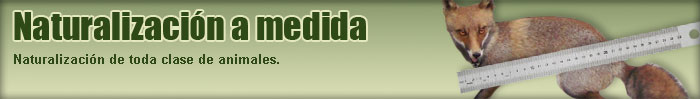 Naturalización a medida.