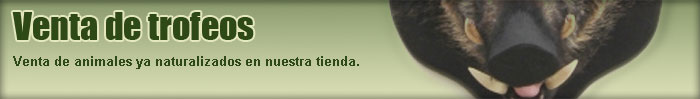 Venta de Trofeos