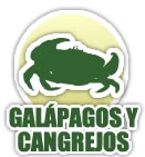 Taxidermia de Tortugas (Galápagos) y cangrejos