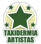 Taxidermia para artistas